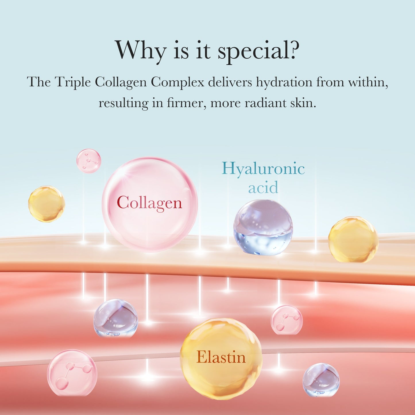 triple-collagen-cream-n8 04_8e4e330d-7d9c-4ff0-93ec-ea541093220c.jpg